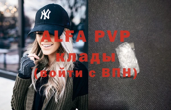 индика Вязники