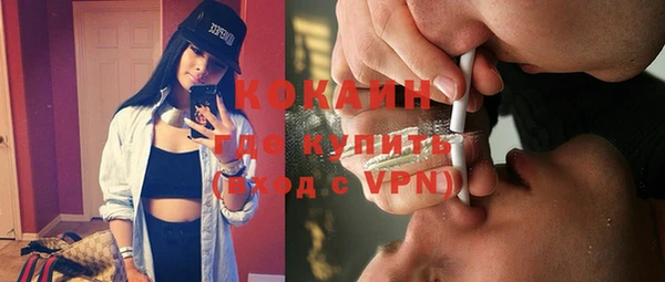 индика Вязники