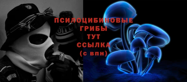 индика Вязники