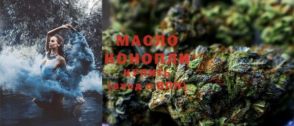 индика Вязники