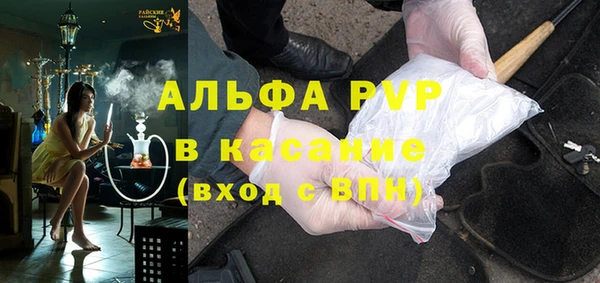 индика Вязники