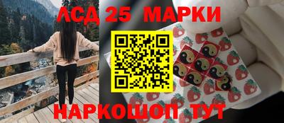 спиды Камышлов