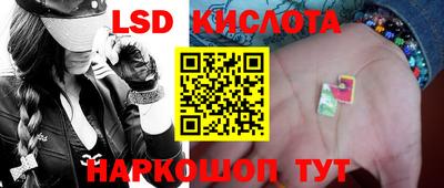 спиды Камышлов