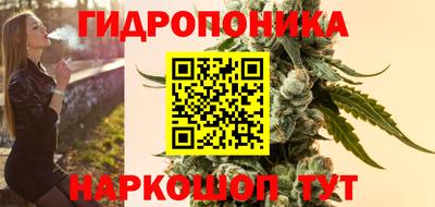 спиды Камышлов