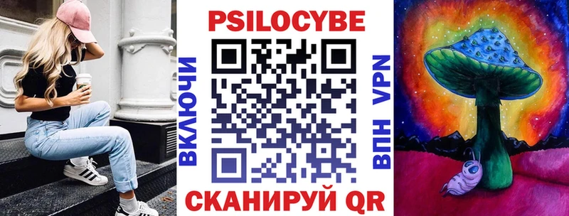 где купить наркотик  Можга  Галлюциногенные грибы Cubensis 