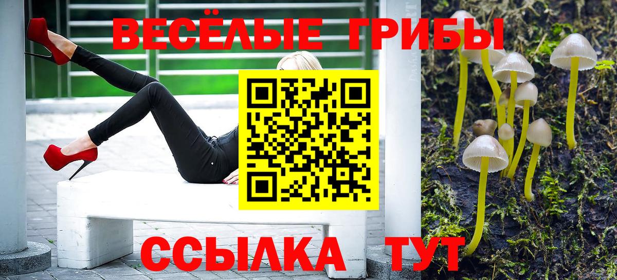 Псилоцибиновые грибы мухоморы Можга