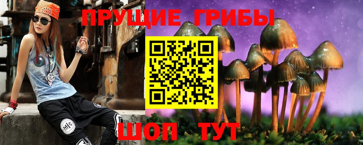 наркота  Можга  Псилоцибиновые грибы GOLDEN TEACHER 